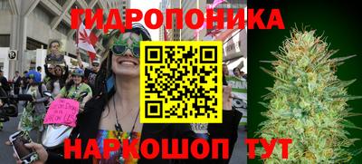 ECSTASY Лесосибирск