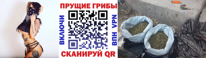 ОМГ ОМГ зеркало Бор это как зайти наркотики Псилоцибиновые грибы MAGIC MUSHROOMS