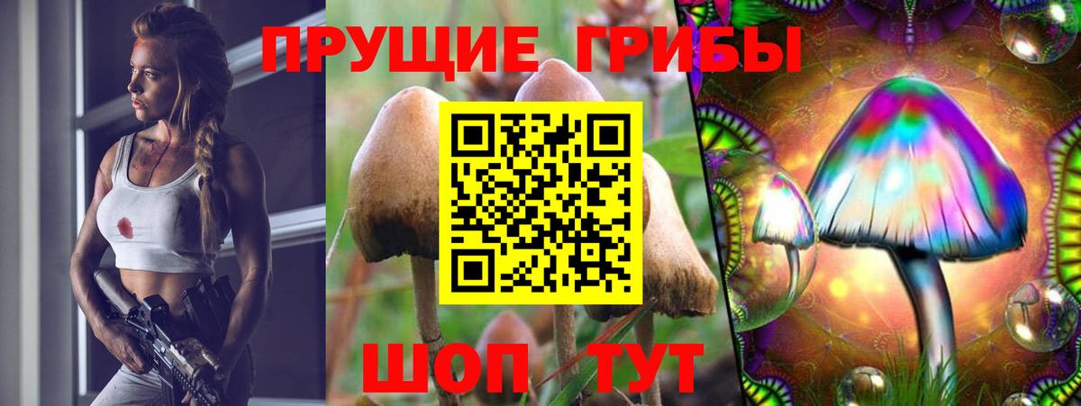Галлюциногенные грибы Cubensis Бор
