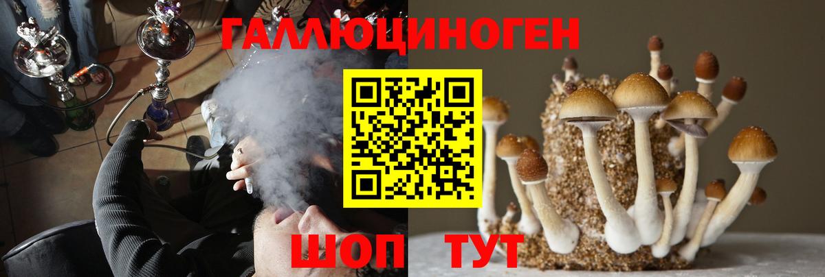 Галлюциногенные грибы Psilocybe Бор